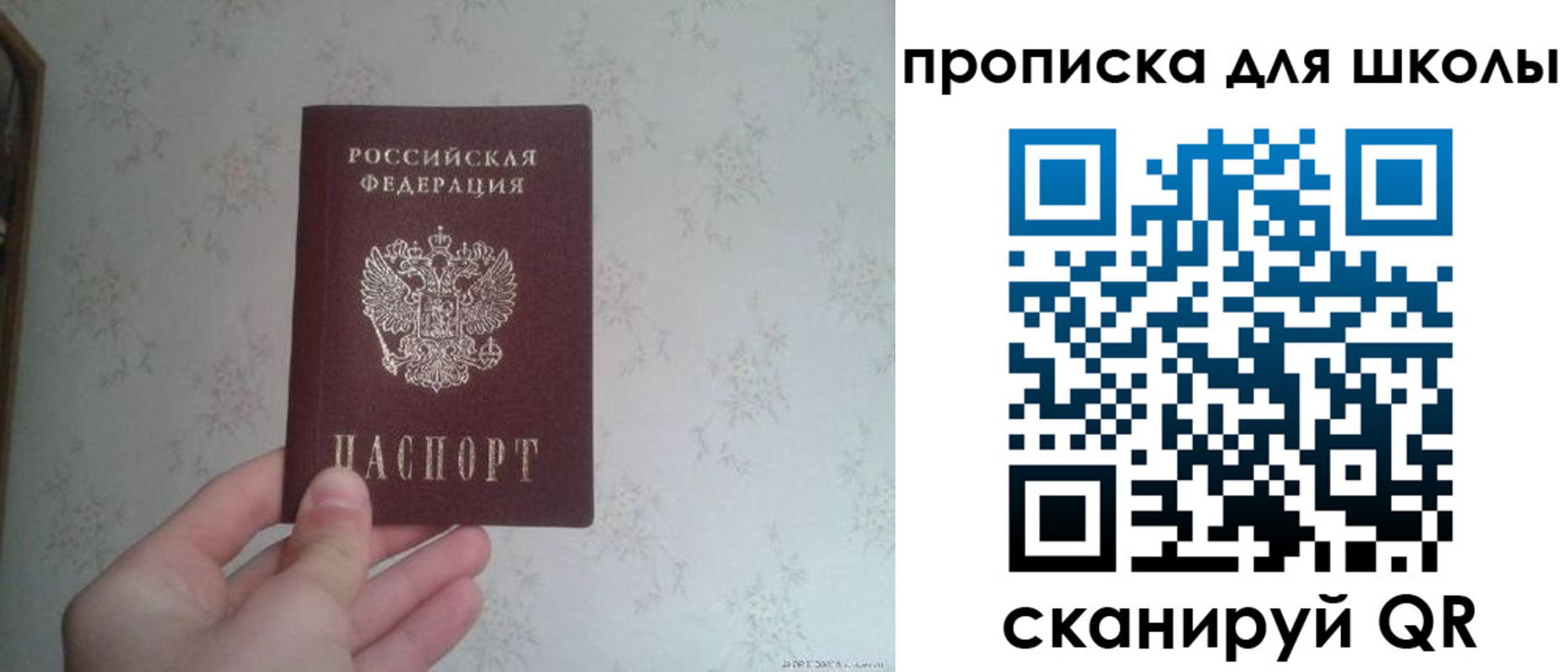 прописка поиск в Чите